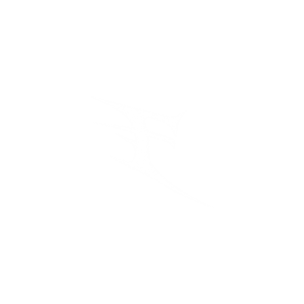 FlexCore